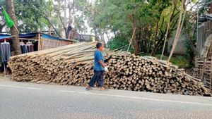 Jelang 17 Agustus, Penjual Bambu Betung Terima Keuntungan hingga Rp50 Juta