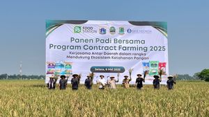 Continue The Anies Era Tradition, Pramono Contract Farming Panen Padi In Karawang