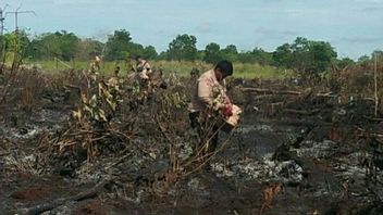 BMKG Deteksi 16 Titik Panas di Kalimantan Timur, Pihak Terkait Diminta Waspada