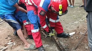 Heboh Petugas Damkar dan Warga Cipayung Jaktim Tarik Ular Sanca Batik 5 Meter dari Dalam Tanah