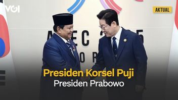 Praise President Prabowo Subianto, South Korean President: Public Satisfaction Level Reaches 80 Percent