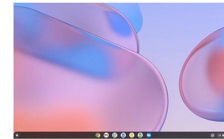 Setelah Blokir 600 Bug, Google Chrome OS Flex Kini Tersedia untuk PC dan Mac