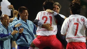 2002年世界杯记忆：韩国教练古斯·希丁克荣誉市民称号