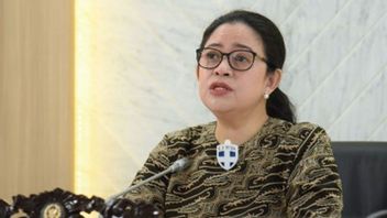 Human Rights Activist, Natalius Pigai Called Puan Maharani A Clean Leader
