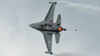 NATO事務総長:軍事予算の増額またはロシア語学習