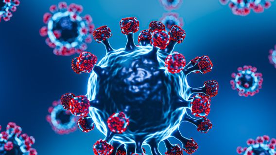 니파 바이러스 인도에서 확산, 5명의 확진자와 수백 명의 격리
Indonesian: Virus Nipah Merebak di India, Lima Kasus Positif dan Ratusan Orang Jalani Karantina