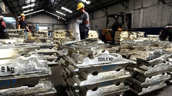 準備が必要、起業家は段階的に実施される錫輸出の禁止を求める