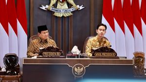 Prabowo's 100 Working Day Program: Focus On 17 Priority Programs