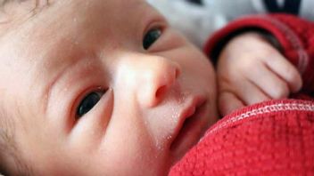 7 façons de prendre soin de la peau du bébé qui s’éclaboule : les parents doivent savoir!