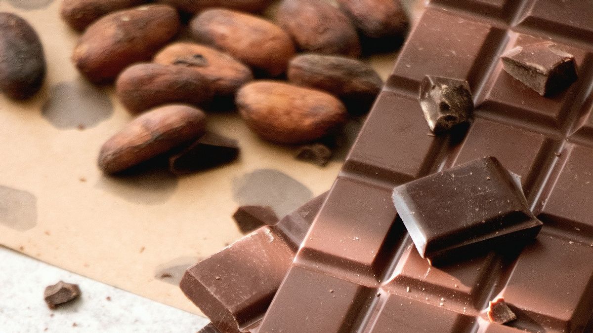 Salmonella Finds, World's Largest Chocolate Factory Stops Production For Contamination Investigation