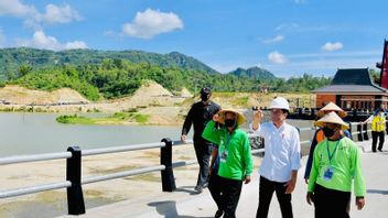 农民快乐Pidekso大坝为Jokowi揭幕：以前收获一次，上帝愿意收获后可以3次