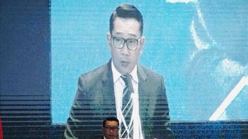 Issue Of Ngepet Pig, Ridwan Kamil Concerned About Two Things: Hoaxes And Julid Neighbors