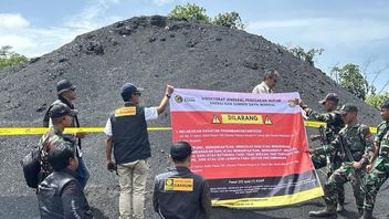 Kementerian ESDM Amankan Tumpukan 70.000 Batu bara dari Pertambangan Ilegal