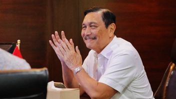 Terpasang Spanduk Luhut Capres 2026, Sindiran Apa Propaganda Politik?