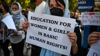 Les Entreprises NFT Bookblocks.io Aider Les Femmes Afghanes à Accéder à L’éducation