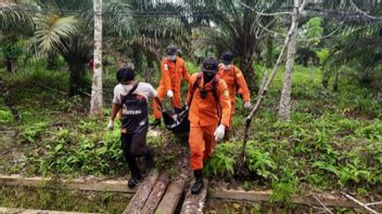 6 Days Lost In The South Barito Forest, 75-Year-Old Grandfather Found Lifeless