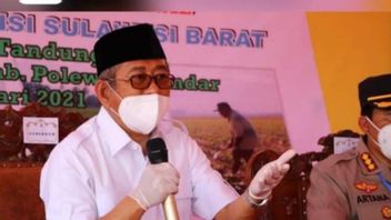 Central Government Provides Assistance To West Sulawesi Provincial Government To Develop 50 Hectares Of Soybean Plants