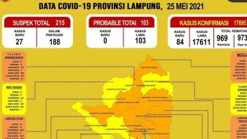 Membengkak, Kasus COVID-19 di Lampung Jadi 17.695 Orang