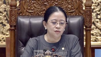 Confirmed as a DPR Initiative, Puan Emphasizes PPRT Bill to Guarantee ART