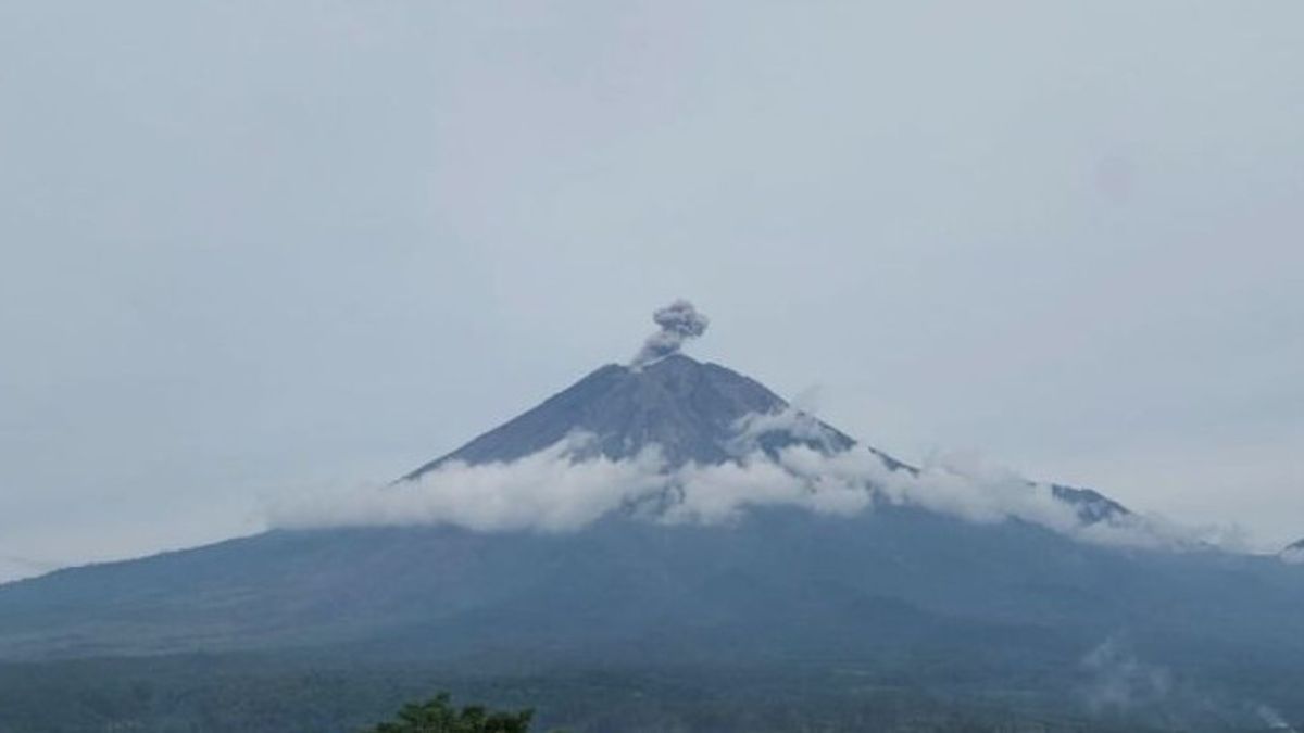 スメル山噴火、最大800メートルの火山灰