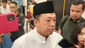 Sawah Hilang 554 Ribu Hektare, Menteri ATR/Kepala BPN: Darurat Ketahanan Pangan