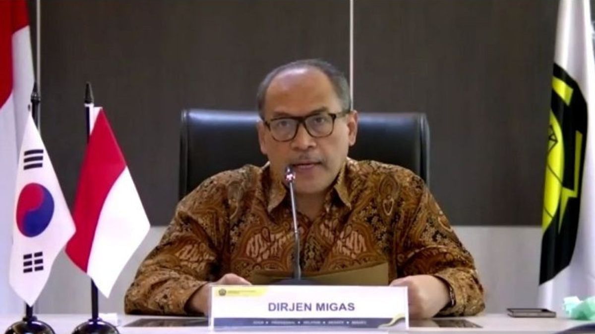 Punya 128 Cekungan, Potensi Migas Indonesia Masih Menjanjikan