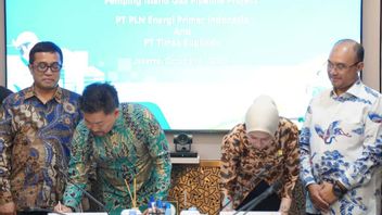 PLN EPI和Timas Suplindo Teken LoI WNTS-Pemping天然气管道建设