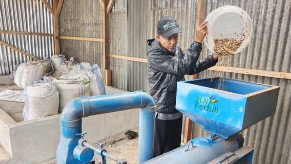 Dapat Dukungan dari PLN, Kelompok Tani di Tapanuli Selatan Sukses Tingkatkan Produksi Kopi Sipirok dan Tembus Pasar Internasional