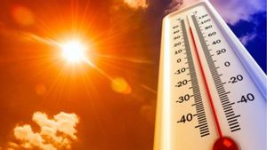 9 Died Due To Extreme Heat Waves In Rajasthan India