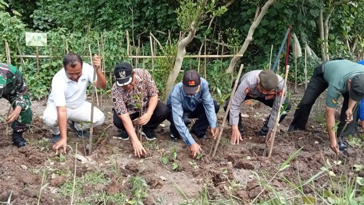 Deputy Regent Of Bantul: Planting Mangrove Supports Environmental Rescue Efforts