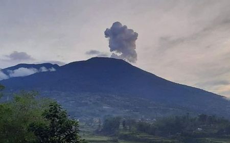 Abu Erupsi Gunung Marapi Mulai Hujani Lahan Pertanian di Tanah Datar