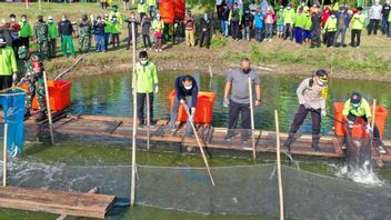 市长埃里·卡亚迪在沃诺雷霍红树林收获1.25吨班登鱼