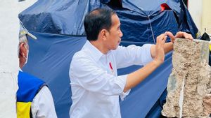 Makin Banyak yang Puas dengan Kinerja Jokowi Setahun Terakhir ini