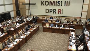 La Commission III de la Chambre des représentants du chef de la police du NTT réunie sur le licenciement de Ipda Rudy Soik