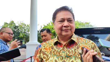 アイルランガ副首相:繊維公企業の計画はまだ検討中、新しい「ペルミナス」スキームはまだ決定されていない