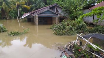 Kerugian Akibat Banjir di Bengkulu Capai Rp148 miliar