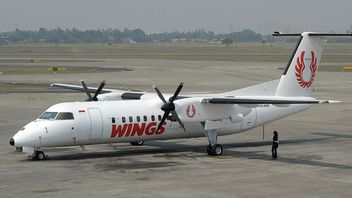目前还没有明确的理由，Wings Air属于企业集团Rusdi Kirana Setop Tanjung Selor-Balikpapan航班，反之亦然