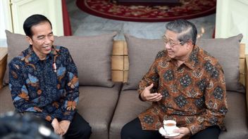 جوكوي نفى SBY بيكينغ بيج كبيرا وراء اتهام شهادة مزورة