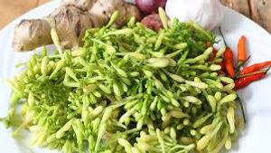 Cara Memasak Bunga Pepaya Agar Tidak Pahit, Lakukan Ini!