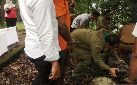 Polda Sumbar Tangkap Pelaku Perdagangan Satwa Ilegal dan Lepaskan Hewan Kembali ke Habitat