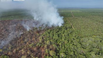 리우아 주 정부는 카르후틀라 비상 준비 상태를 설정합니다.