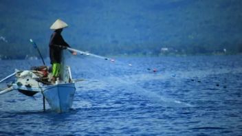 West Sumatra Pariaman Fishermen Finally Go To Sea After 2 Weeks Of Being Detained By The Weather, Now They Can Catch 320 Kg Of Tuna Per Day