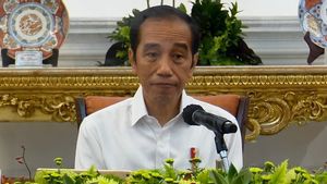 Jokowi Perintahkan Menko Polhukam Selesaikan Pelanggaran HAM Masa Lalu