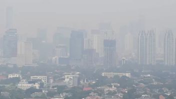 Kualitas Udara Jakarta Buruk, Pemprov DKI Minta Kelompok Sensitif  Kurangi Aktivitas di Luar Rumah