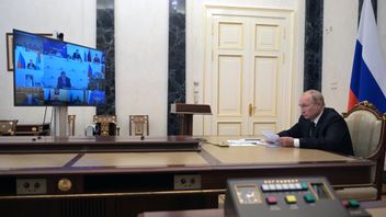 Self-isolating, Putin: We'll See How Sputnik V Works