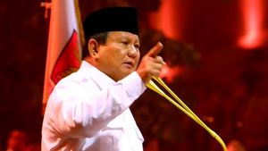 Prabowo Instruksikan Penindakan Praktik Beras Oplosan: Ini Penipuan, Pidana!