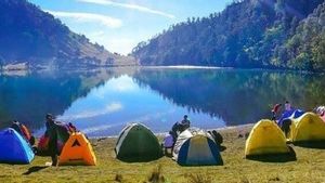 Berikan Pengalaman Tak Terlupakan! Berikut Rekomendasi Tempat Camping di Malang yang Wajib Dikunjungi