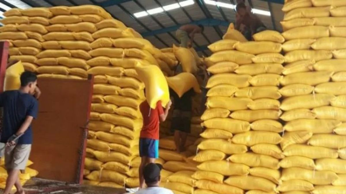 Bulog Ensures Rice Stock In Southeast Sulawesi Is Safe For The Next 6 Months