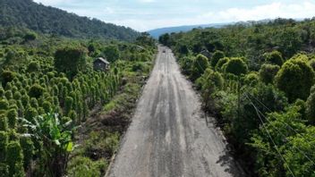 South Sulawesi Provincial Government Handles South Sulawesi-Sulteng Liaison Road