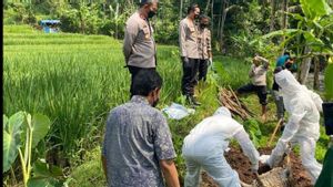 Ancaman Serius dari Penemuan Bangkai 50 Kambing di Kali Sungai, Virus PMK Bisa Masuk ke Lahan Pertanian